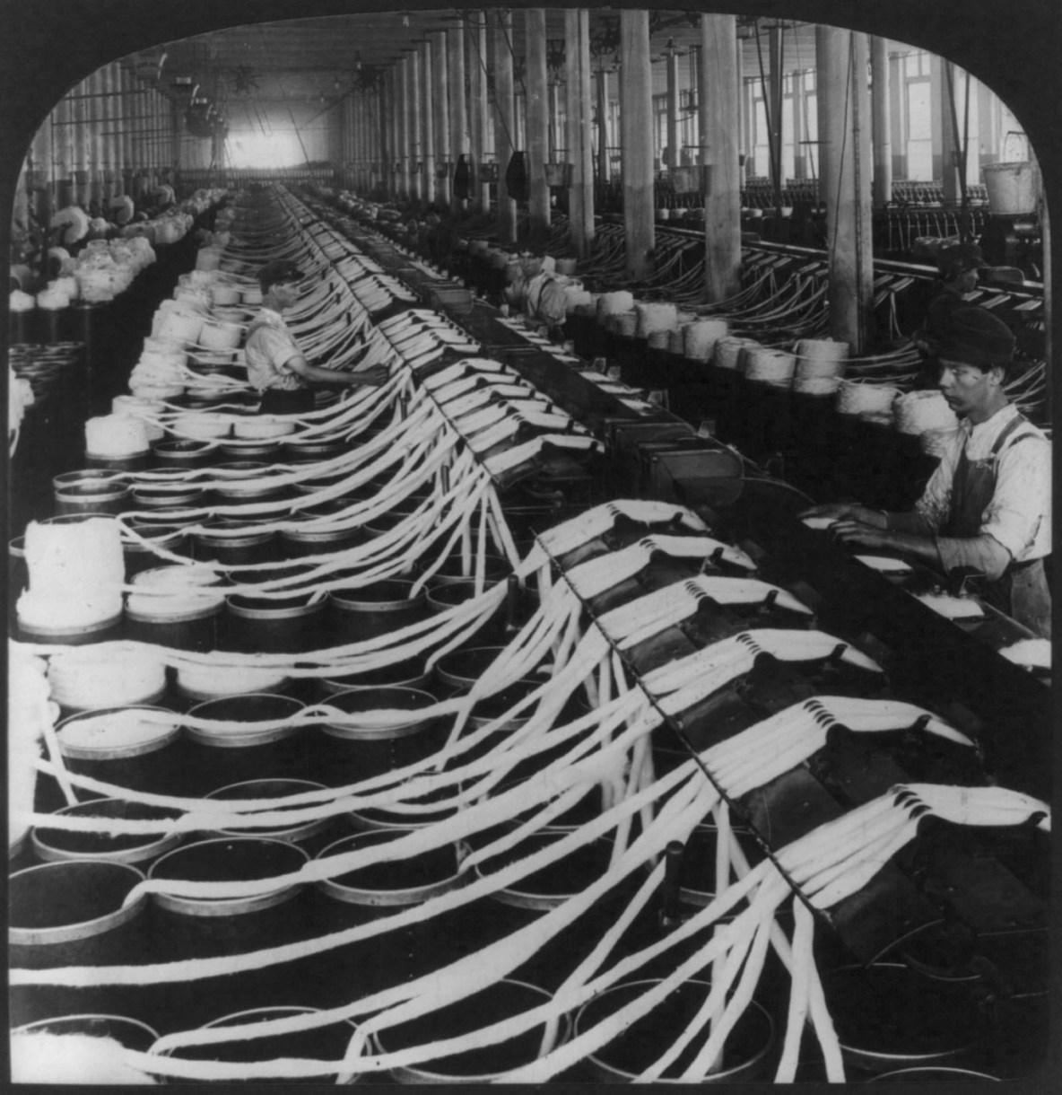 Cotton yarn